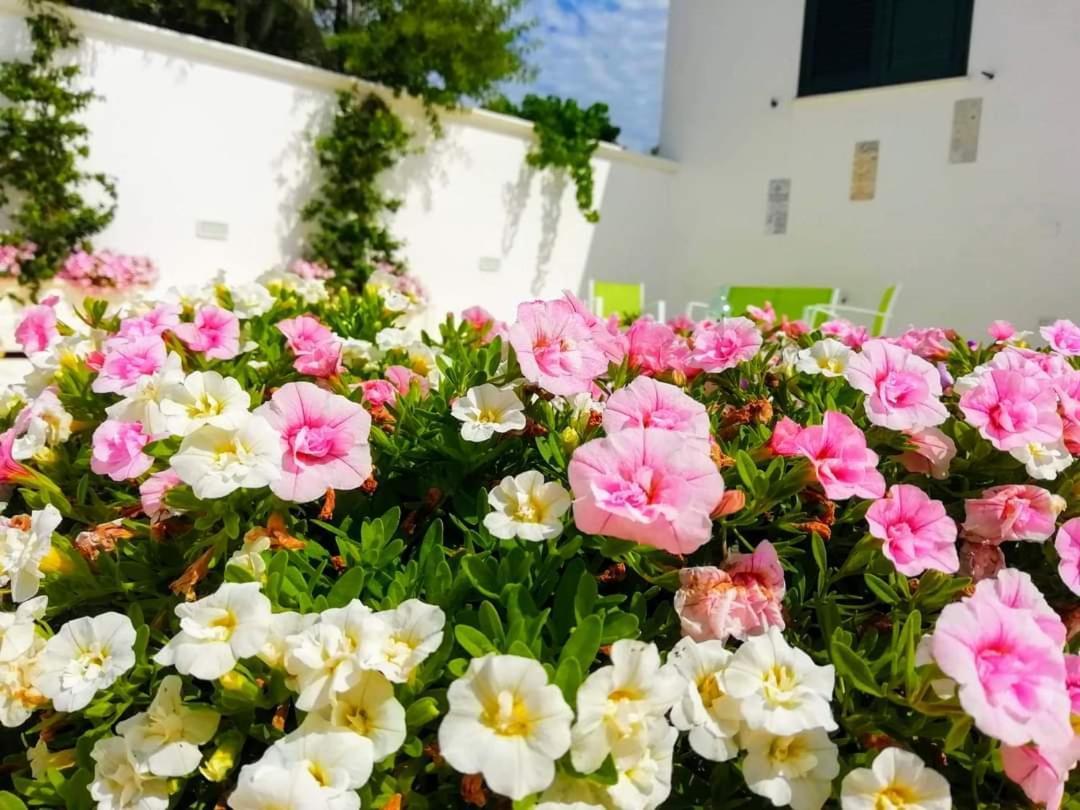B&B Sole Mare Vento Maruggio Exterior foto